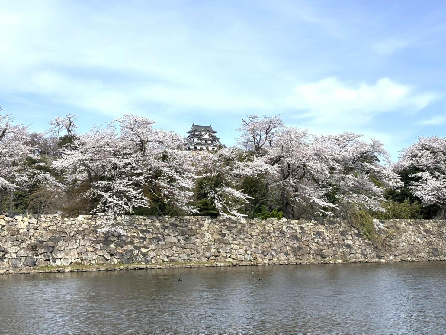 B Home彦根地蔵 Appartamento Hikone